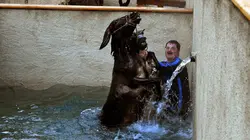 Aux origines du bien-être