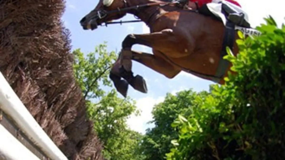 Aux origines du Grand Steeple