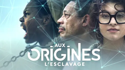Audiences TV : Aux origines, l'esclavage