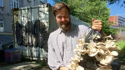 Aux portes de la mer