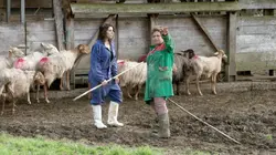 Aux quatre coins de l'Europe