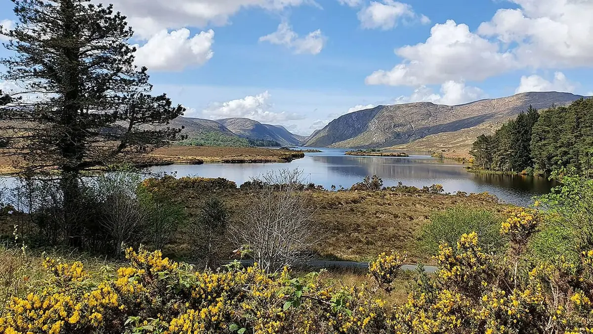 Aux quatre coins de l'Irlande L'Est fleuri