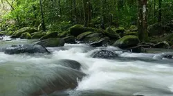 Aux sources de l'Essequibo La source mystérieuse