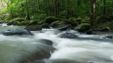 La source mystérieuse