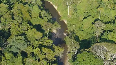Aux sources de l'Essequibo Dans les tumultes du fleuve