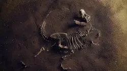 Avant Jurassic Park : l'apocalypse des dinosaures