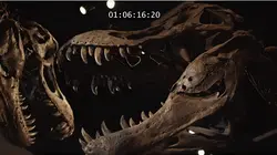 Avant Jurassic Park : l'apocalypse des dinosaures