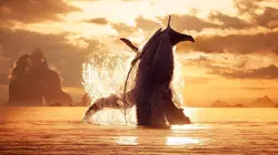 "Avatar : La voie de l'eau" : immersion en profondeur