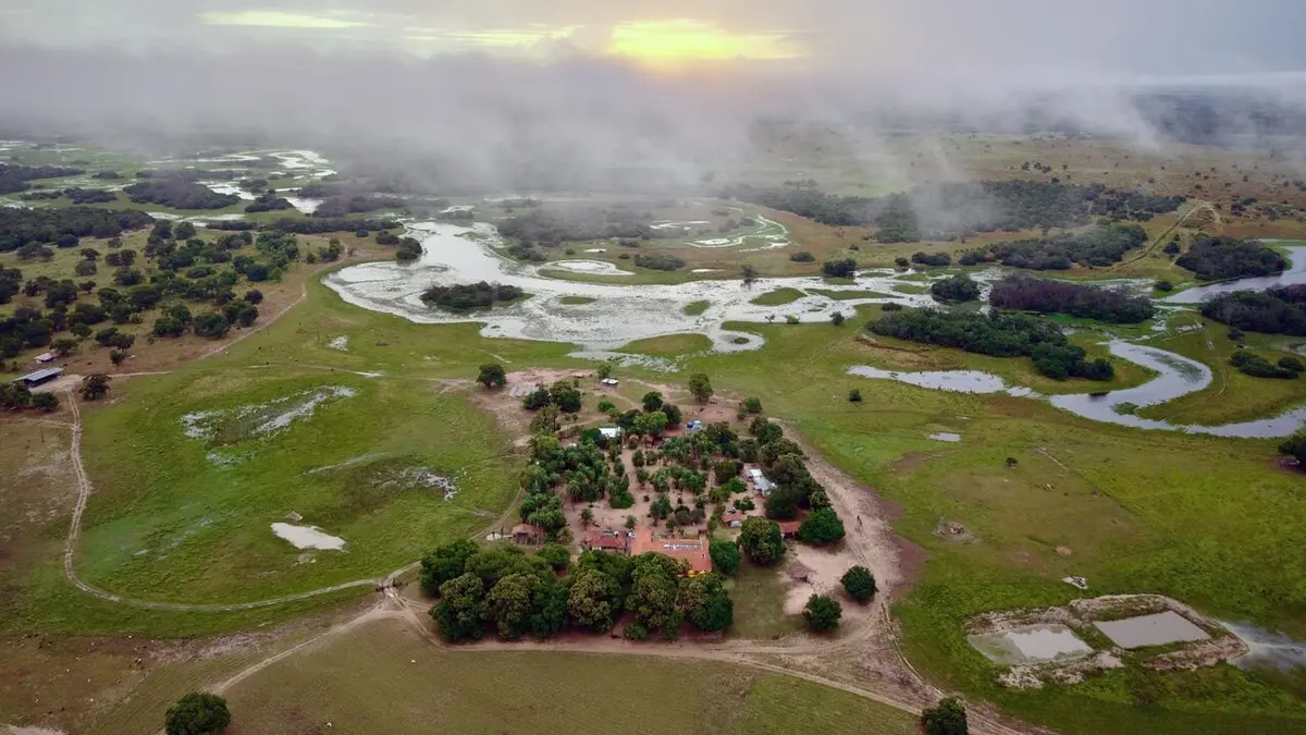 Aventures brésiliennes Avec les jaguars et les caïmans du Pantanal