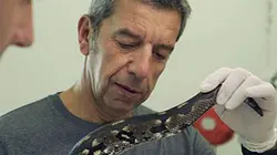 Aventures de médecine Des vétérinaires en action