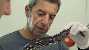 Aventures de médecine Des vétérinaires en action