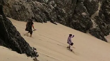 Le condor du Pacifique