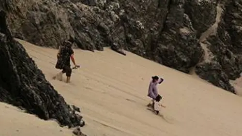 Aventures en terre animale E01 Le condor du Pacifique