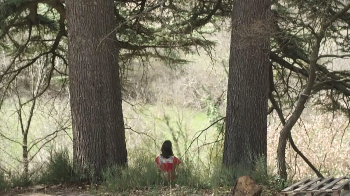 Aventures et mésaventures du bien-être