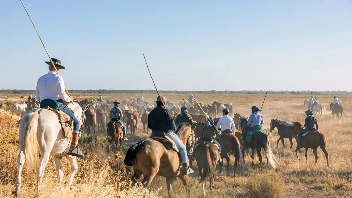 Aventures hispaniques L'Andalousie sauvage