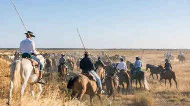L'Andalousie sauvage