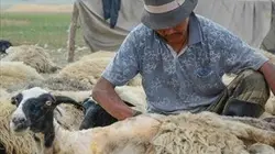 Sur Voyage à 22h20 : Aventures mongoles
