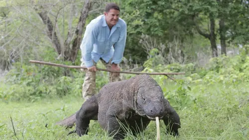 Aventures sauvages S01E01 Indonésie