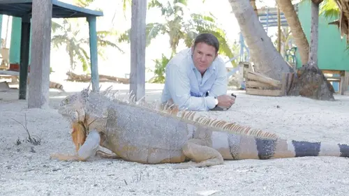 Aventures sauvages S01E03 Au Mexique