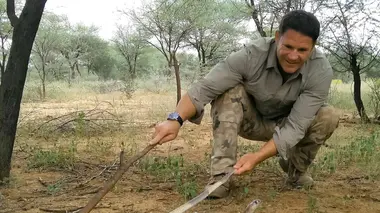 Aventures sauvages S01E05 Namibie