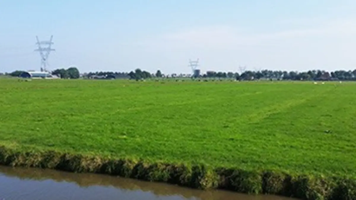 Avenue de l'Europe, le mag Crises agricoles : chacun pour soi