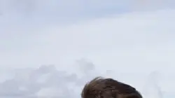 Visuel de Avions de combat