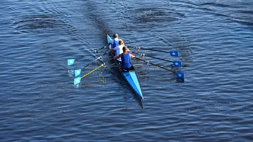 Aviron : Championnats du monde