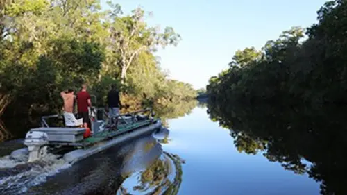Ax Men, danger en forêt S03E10 Face-à-face avec un alligator