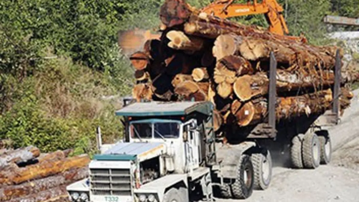 Ax Men, danger en forêt S06E05 Cage Match