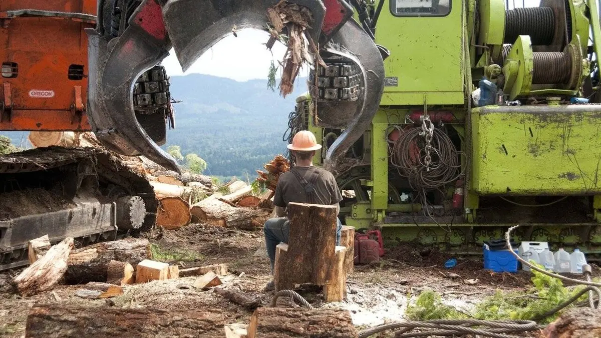 Ax Men : danger en forêt S05E16 Luttes sauvages