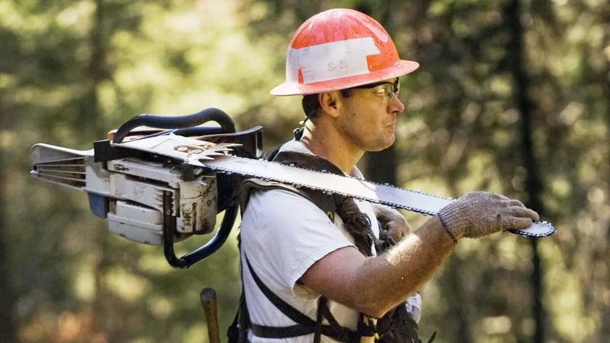 Ax Men : danger en forêt S05E05 Les cowboys des montagnes