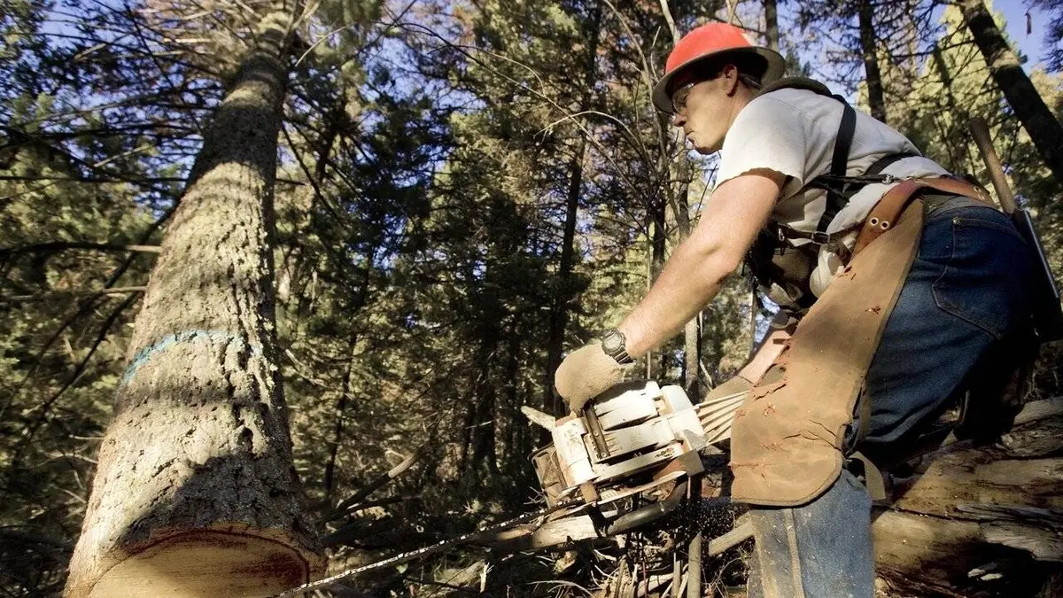 Ax Men : danger en forêt S05E07 Appel d'urgence