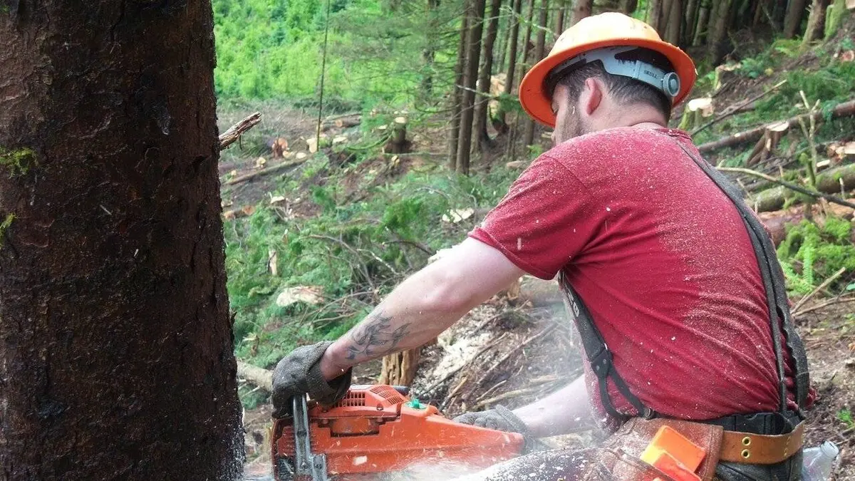 Ax Men : danger en forêt S05E15 Au bord du gouffre