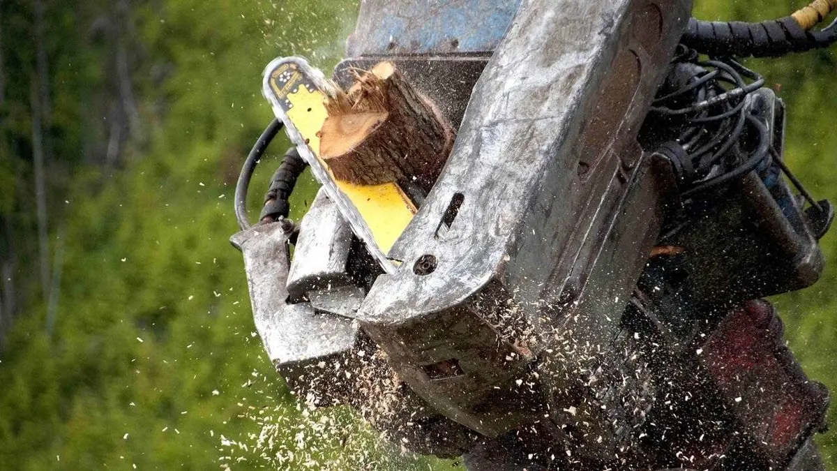 Ax Men : danger en forêt S05E17 Un trésor dans le marais
