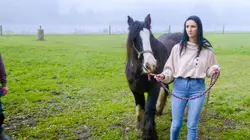 B&B zoekt Lief S01E10