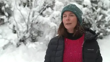 B&B zoekt lief in de winter