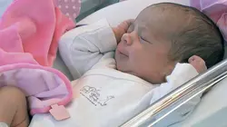 Baby boom Les rôles inversés