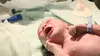 Les bébés de l'amour