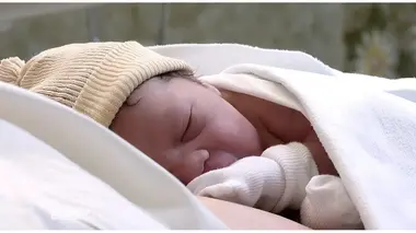 Baby boom Camélia
