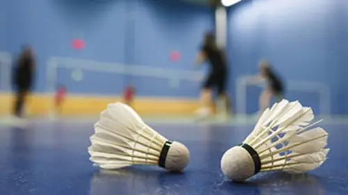 Finales Badminton Championnats du monde 2017