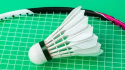 Badminton : Championnat d'Europe par équipe