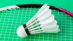 Badminton Championnat de France
