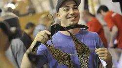 Baggage Battles Floride