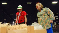 Baggage Battles Diamants bruts