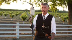 Baggage Battles Feu à volonté