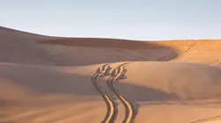 Baja Hail Toyota Rally