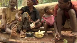 Visuel de Baka, l'appel de la forêt