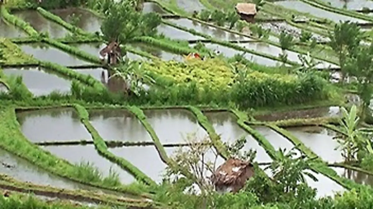 Bali, un paradis en danger ?