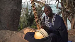 Ballaké Sissoko : une histoire de kora
