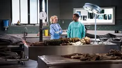 Balthazar  S02E08 Permis de tuer